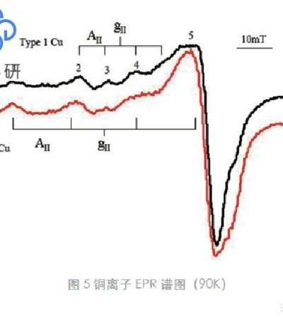 室温/原位电子顺磁/自旋共振（EPR/ESR）